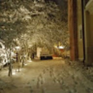 Meet your Posher, Maria rosela